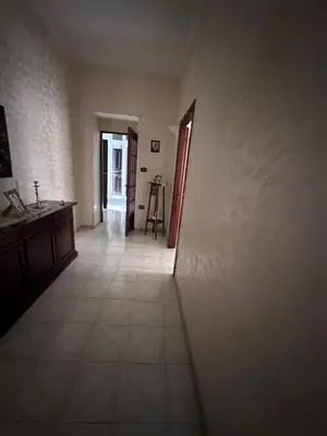 Planimetria di Napoli cento storico2