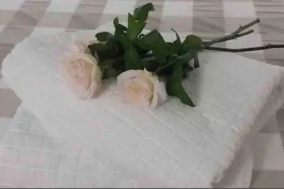 Planimetria di S. Sofia home