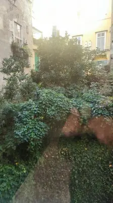 Giardino di 109C Mezzocannone Charming flat