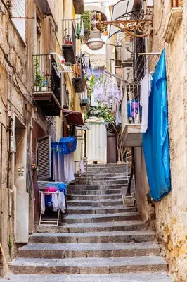 Il quartiere o una zona nella vicinanze dell'appartamento