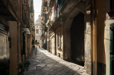Il quartiere o una zona nella vicinanze dell'appartamento