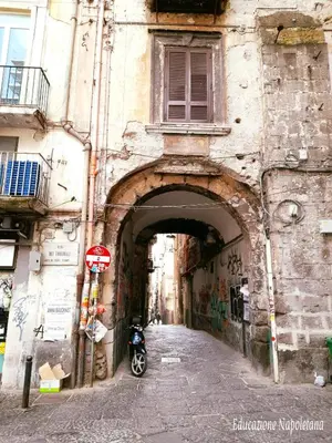 Planimetria di La dimora dei placidi