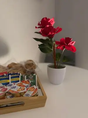 Planimetria di La Dimora del Sarto