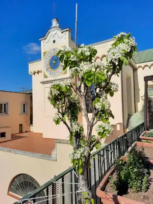 Edificio in cui si trova il bed & breakfast