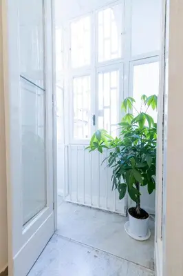 Planimetria di Casa Pontecorvo 05