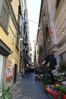 Il quartiere o una zona nella vicinanze dell'affittacamere
