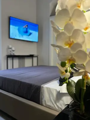 Letto o letti in una camera di MILUAR Relais - Donnaregina
