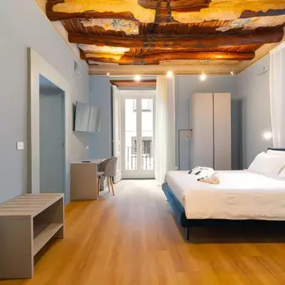 Il Disinganno - Elegant Historic Residence in the center