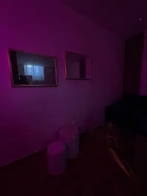 Planimetria di House Palma