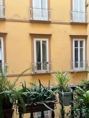Planimetria di Napoli Centro Antico 77