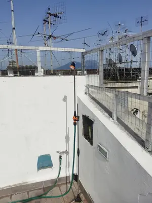 Planimetria di The philosopher's roof