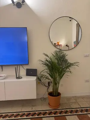 TV o dispositivi per l'intrattenimento presso Casa dell Oca Chiaia