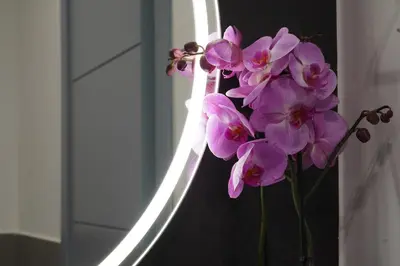 Planimetria di Rooms Around