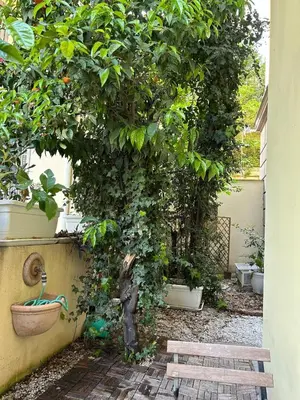 Giardino di Il giardinetto, centrale e tranquillo