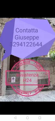 Certificato, attestato, insegna o altro documento esposto da Palazziello Nanninella