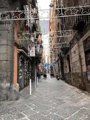 Il quartiere o una zona nella vicinanze dell'appartamento