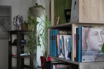 Biblioteca nell'appartamento