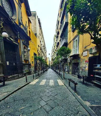 Il quartiere o una zona nella vicinanze del bed & breakfast