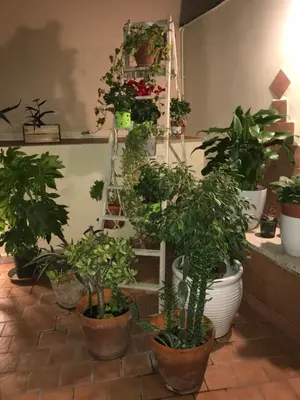 Giardino di ilbricco