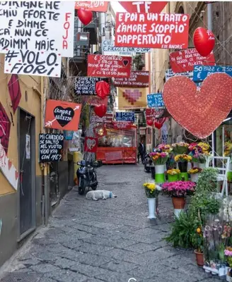 Il quartiere o una zona nella vicinanze della casa vacanze