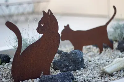 Ospiti di Schiara Apartment con animali domestici