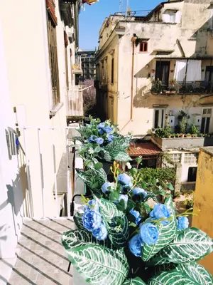 Balcone o terrazza di I Tesori di Napoli