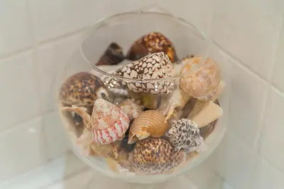 Cibo presso l'appartamento o nelle vicinanze