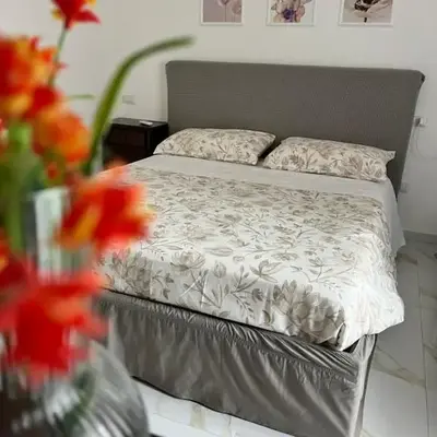 B&B nel centro storico o'vicolo e Napoli